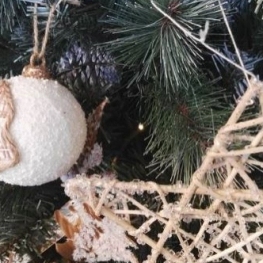 Decorem l'arbre de Nadal a Cardedeu