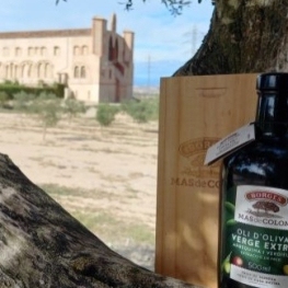 Straight to the palate at Mas de Colom, Casa Borges