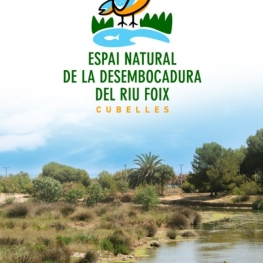Visites guiades a la desembocadura del riu Foix