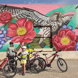 Balades d'automne en vélo électrique