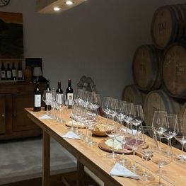 Wine tasting - Xalet de Prades