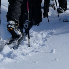 Raquetas de nieve en la Vall de Núria con Oxineu Guías de&#8230;