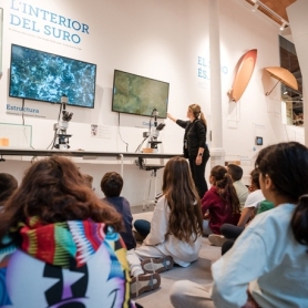 Visite guidée «La civilisation du liège», Musée de la Catalogne&#8230;