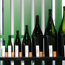 Visita guiada i Tast de vins al Museu del Suro de Catalunya