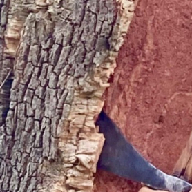 De l'arbre au liège, le Musée du Liège Sud de Catalogne