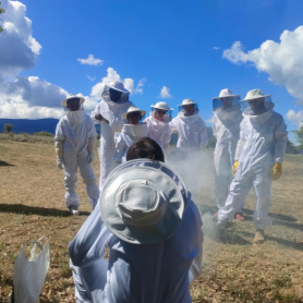 Endinsa't en el fascinant món de les abelles, Apiferro Mel&#8230;