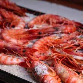 Seafood and shrimp tasting, Tela Marinera