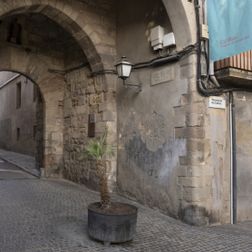 Visite guidée: Igualada médiévale