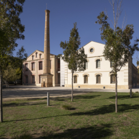 Visita guiada: Museu de la Pell d'Igualada
