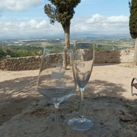 Tasting at Gelida Castle with Sumarroca Wineries
