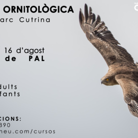 Salida ornitológica Coll de Pal - 16 de agosto con Oxineu Guías&#8230;