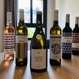 Wine tourism in Tarragona: Mas Vicenç Winery, TGNA Rambla 68&#8230;