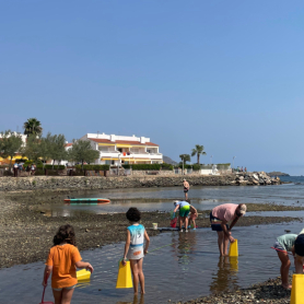 Activitat en família: Animalons del Cap de Creus - Llançà