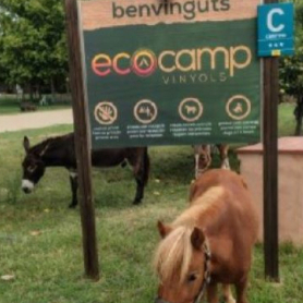 Escapade détente au camping Ecocamp Vinyols
