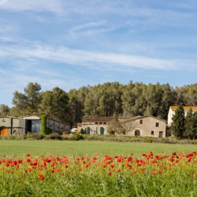 Visitez ECO Vins el Cep x Camins del Nord