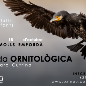 Salida ornitológica a los Aiguamolls de l'Empordà