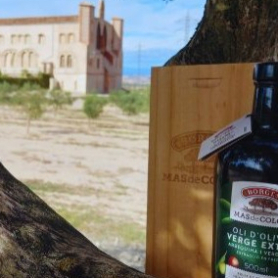 Sabores de Olivo: Cata, tierra y tradición en Mas de Colom,&#8230;