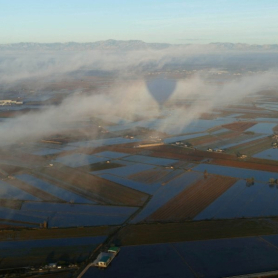 Gaudeix del Delta de l'Ebre i l'mpordà de manera diferent