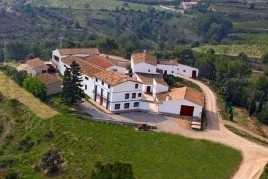Haznos una visita a la Bodega Miquel Jané: ¡Menú de calçotada!