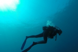 Costa Brava Sub présente l'itinéraire des plongées éco-guidées…