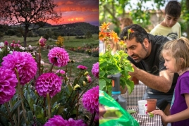 Taller de Plantación de Dalias en Niudalia