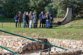 Visita guiada a la Villa romana de Torre Llauder