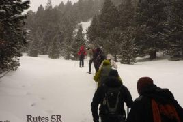 Snowshoes Port del Comte 50 Peaks