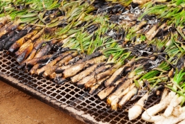 Visit and tasting of cava with Calçotada in La Bleda, Cava…