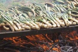 Menú de Calçotada a la Bodega Miquel Jané