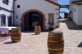 Visit to the winery with wine tasting and lunch at the Miquel…