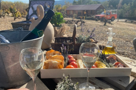 Food Market Penedès - Stress & Adrenalina