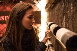 Visita a la bodega + cata de vinos
