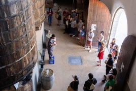 ¡Visita teatralizada a la Cooperativa Falset Marçà!