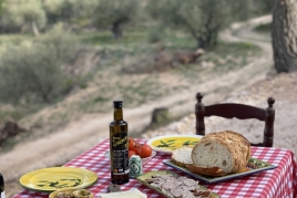 Farmer's breakfast and oil tasting among olive trees at…