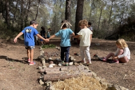 Activité scolaire: Les sensations de la forêt