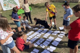 Activité scolaire: Le marronnier et l'automne