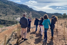 Petit-déjeuner ou collation dans les vignes du Celler Gritelles