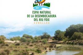 Guided tours of the mouth of the Foix River