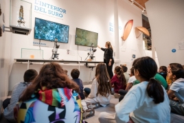 Visita guiada “La civilització del suro”, Museu del Suro…