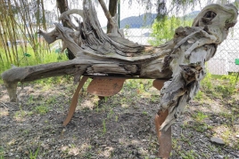 Itinerario Guiado desde Campdevànol a Gombrèn, Jardín Botánico…