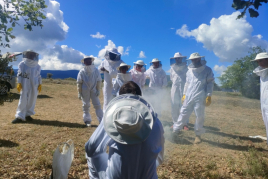 Endinsa't en el fascinant món de les abelles, Apiferro Mel…