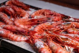 Tast de mar i gambes, Tela Marinera