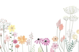 Guide: Vibrational and Magical Energy of Healing Herbs
