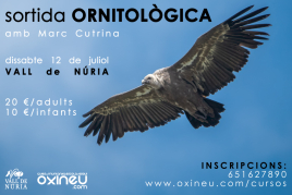 Birdwatching trip to Vall de Núria with OXINEU Mountain Guides