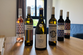 Enoturismo en Tarragona: Bodega Mas Vicenç, Apartamentos TGNA…