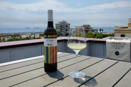 Oenotourisme à Tarragone: Domaine viticole Mas Vicenç, Appartements…