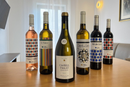 Enoturisme a Tarragona: Celler Mas Vicenç, Apartaments TGNA…