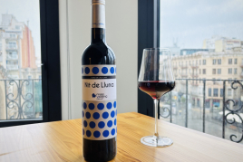 Enoturisme a Tarragona: Celler Mas Vicenç, Apartaments TGNA…