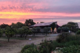 Autumn is here at Camping Ecocamp Vinyols!