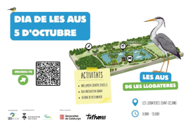 Les aus de les Llobateres a Sant Celoni